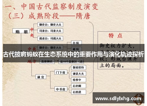 古代披肩蚂蚁在生态系统中的重要作用与演化轨迹探析
